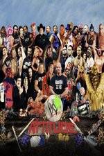 Watch WWE: The Attitude Era Vidbull