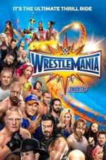 Watch WWE WrestleMania 33 Vidbull