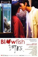 Watch Blowfish Vidbull