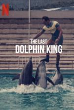 Watch The Last Dolphin King Vidbull