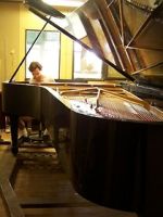 Watch Note by Note: The Making of Steinway L1037 Vidbull