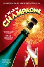 Watch A Year in Champagne Vidbull