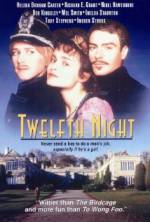 Watch Twelfth Night or What You Will Vidbull