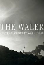 Watch The Waler: Australia\'s Great War Horse Vidbull