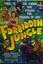 Watch Forbidden Jungle Vidbull