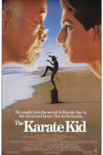 Watch The Karate Kid Vidbull
