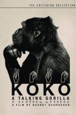 Watch Koko, le gorille qui parle Vidbull