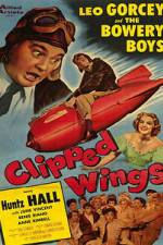 Watch Clipped Wings Vidbull