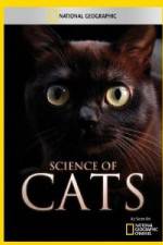 Watch National Geographic Science of Cats Vidbull