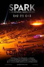 Watch Spark A Burning Man Story Vidbull