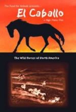 Watch El Caballo: The Wild Horses of North America Vidbull