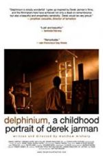 Watch Delphinium: A Childhood Portrait of Derek Jarman Vidbull