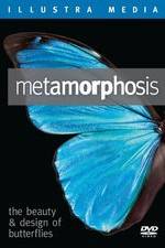 Watch Metamorphosis: The Beauty and Design of Butterflies Vidbull