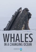 Watch Whales in a Changing Ocean (Short 2021) Vidbull