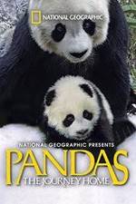 Watch Pandas: The Journey Home Vidbull