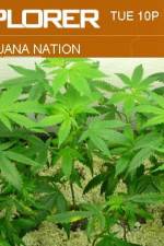 Watch Marijuana Nation Vidbull