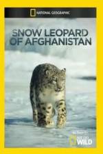 Watch Snow Leopard of Afghanistan Vidbull
