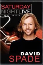 Watch Saturday Night Live The Best of David Spade Vidbull