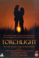 Watch Torchlight Vidbull