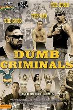 Watch Dumb Criminals: The Movie Vidbull