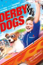 Watch Derby Dogs Vidbull