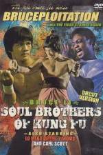 Watch Soul Brothers of Kung Fu Vidbull