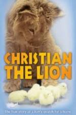 Watch Christian the lion Vidbull