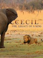 Watch Cecil: The Legacy of a King Vidbull