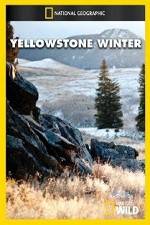 Watch National Geographic Yellowstone Winter Vidbull