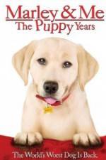 Watch Marley and Me The Puppy Years Vidbull