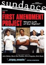Watch The First Amendment Project: Fox vs. Franken Vidbull