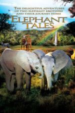 Watch Elephant Tales Vidbull