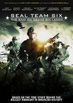 Watch Seal Team Six: The Raid on Osama Bin Laden Vidbull