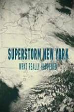 Watch Superstorm New York: What Really Happened Vidbull