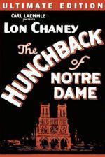 Watch Hunchback of Notre Dame Vidbull