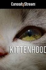 Watch Kittenhood Vidbull