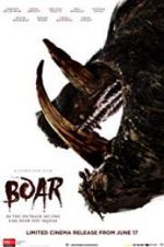 Watch Boar Vidbull