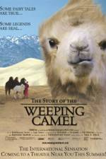 Watch The Story of the Weeping Camel Vidbull