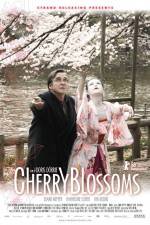 Watch Cherry Blossoms Vidbull