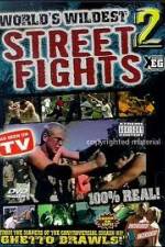Watch Worlds Wildest Street Fights 2 Vidbull