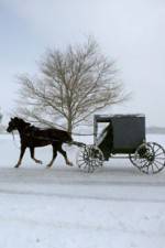 Watch Leaving Amish Paradise Vidbull