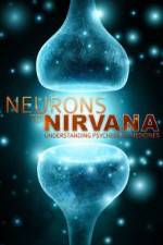 Watch Neurons to Nirvana Vidbull