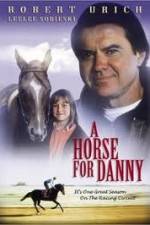 Watch A Horse for Danny Vidbull