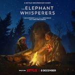 Watch The Elephant Whisperers (Short 2022) Vidbull