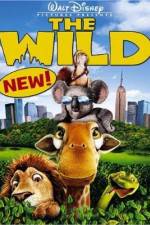 Watch The Wild Vidbull