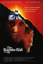 Watch The Karate Kid Part III Vidbull