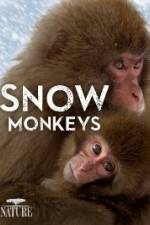 Watch Nature: Snow Monkeys Vidbull