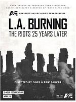 Watch L.A. Burning: The Riots 25 Years Later Vidbull