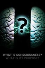 Watch What Is Consciousness? What Is Its Purpose? Vidbull