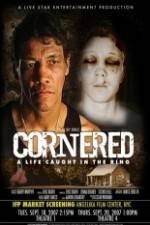 Watch Cornered A Life Caught in the Ring Vidbull